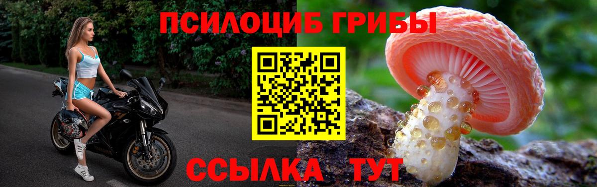 Псилоцибиновые грибы ЛСД Фурманов