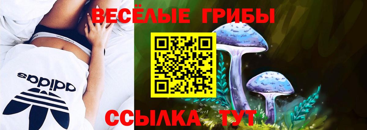 Фурманов  Псилоцибиновые грибы прущие грибы  Псилоцибиновые грибы ЛСД  Вход с VPN 